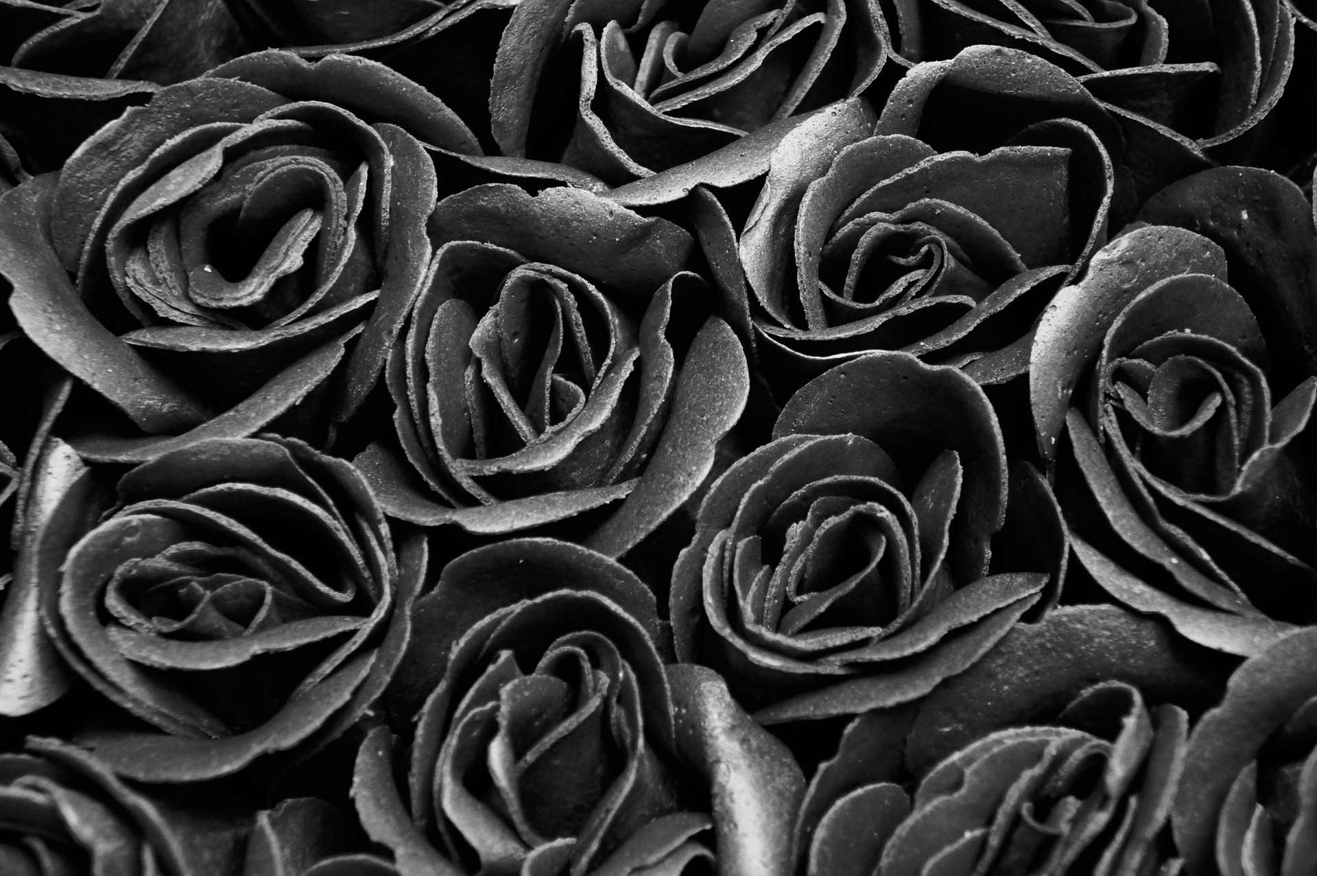 Nieuwe trend: zwarte rozen kopen zwarte rozen
